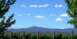 CroppedImage270137-4ef2b05086dc2_1071_c-chillout-travel-domaine-chandon-2009