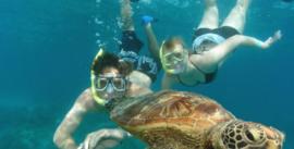 CroppedImage270137-4e979d8b4c3ae_1100_gagi-turtlesnorkslr