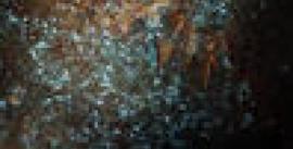 CroppedImage270137-51eca6f48e9ee_201_1wgcgroupwguideinboatlookingup