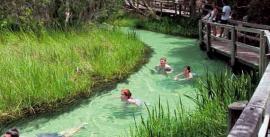 CroppedImage270137-4e65872f3b470_1245_eli-creek-1