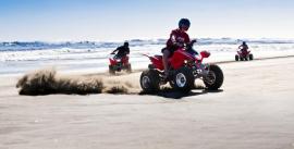 CroppedImage270137-4e7a790e3153d_210_beach-shot