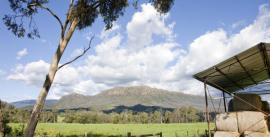 CroppedImage270137-50f50164653ba_745_visionsofvictoria1373604-304