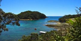 CroppedImage270137-4f1d15ad8459e_1853_goat-island-pic