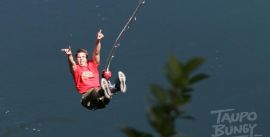 CroppedImage270137-51770ba78f5f0_48_bungy-image-1