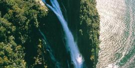 CroppedImage270137-4e9f7f688b254_445_rjvol993