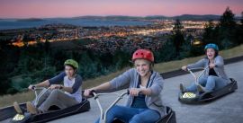 CroppedImage270137-5429e92fa0be3_53_twilight-luge-2013