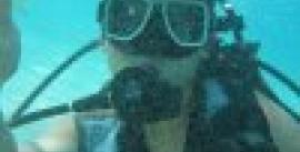 CroppedImage270137-4f503a460dc08_1296_01-1002-205412