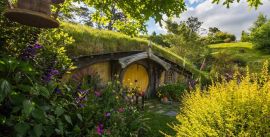 CroppedImage270137-5913b74a9a4a7_131_woollysheeohobbitonstray