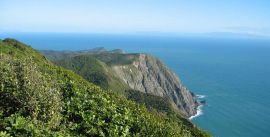 CroppedImage270137-5556b13054838_131_kapiti-island