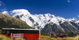 CroppedImage270137-55596343a57a1_131_mtcook