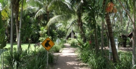 CroppedImage270137-4f6ea602a01d3_462_accom-fb