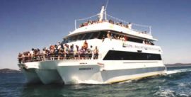 CroppedImage270137-53102f0778394_2436_portstephens3