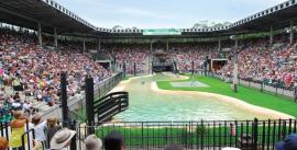 CroppedImage270137-4fed146332539_354_azcrocoseum002