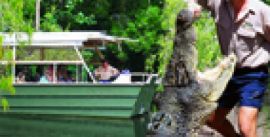 CroppedImage270137-54d1ccf2a1d25_123_hca-boatcroclr