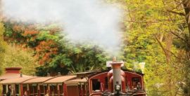 CroppedImage270137-56fdbc42142e3_788_train-in-autumn