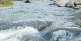 CroppedImage270137-4d58bcf762c45_378_barrontall