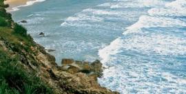 CroppedImage270137-4db886b9c8088_432_view-headland
