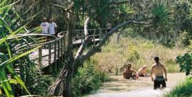 CroppedImage270137-4db8869c80c9d_432_eli-creek-23
