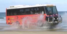 CroppedImage270137-4f701eb32fc0e_447_austin-bus-splash