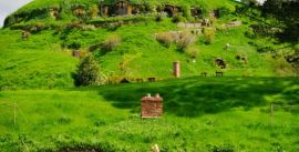CroppedImage270137-5022f94df22d5_37_the-shire-2