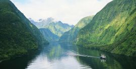 CroppedImage270137-5556ab4f505e4_131_doubtfulsound-1