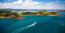 CroppedImage270137-59bb5f790c9f9_134_0-paihia