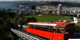 CroppedImage270137-54aa041fa5b6f_134_9wellington
