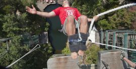 CroppedImage270137-4ef15b4836828_609_ajhmax048-sml