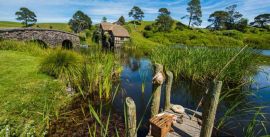 CroppedImage270137-59af6ac483666_3961_amazing-scenery-at-the-hobbiton