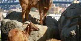 CroppedImage270137-504d4b4c0abbe_284_mg1795-online