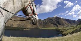 CroppedImage270137-4ec958484a311_1818_me09344pp