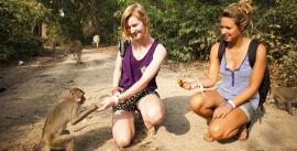 CroppedImage270137-553721b6a30fc_1270_feedingmonkeyslaos
